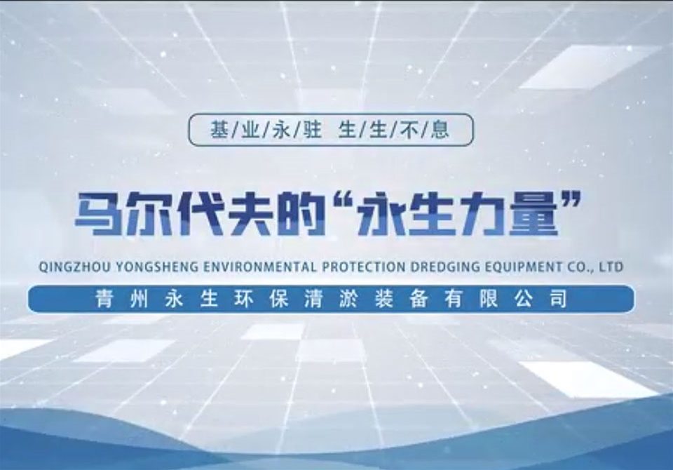  馬爾代夫機場項目